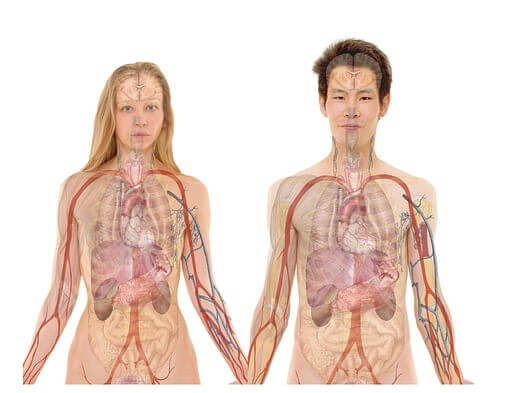 5 Things to Avoid to Protect Your Liver and Other Internal Organs Things to avoid to protect your liver against damage