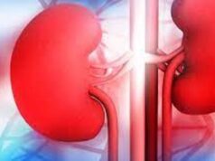 10 Early Signs of Kidney Disease You Should Know Early signs of kidney disease