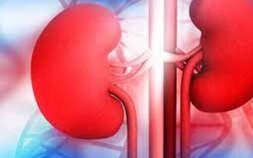 10 Early Signs of Kidney Disease You Should Know Early signs of kidney disease