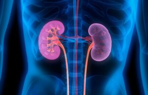 Are You Living with Kidney Disease? Follow These Self-Care Ideas Self-care ideas for patients living with kidney disease